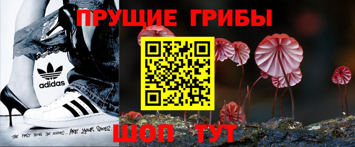 Псилоцибиновые грибы Magic Shrooms  Вход с VPN  Ростов Великий 