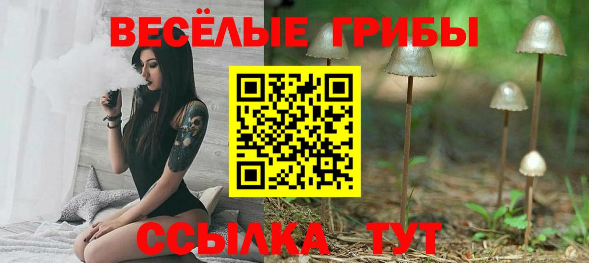 Псилоцибиновые грибы ЛСД Ростов Великий